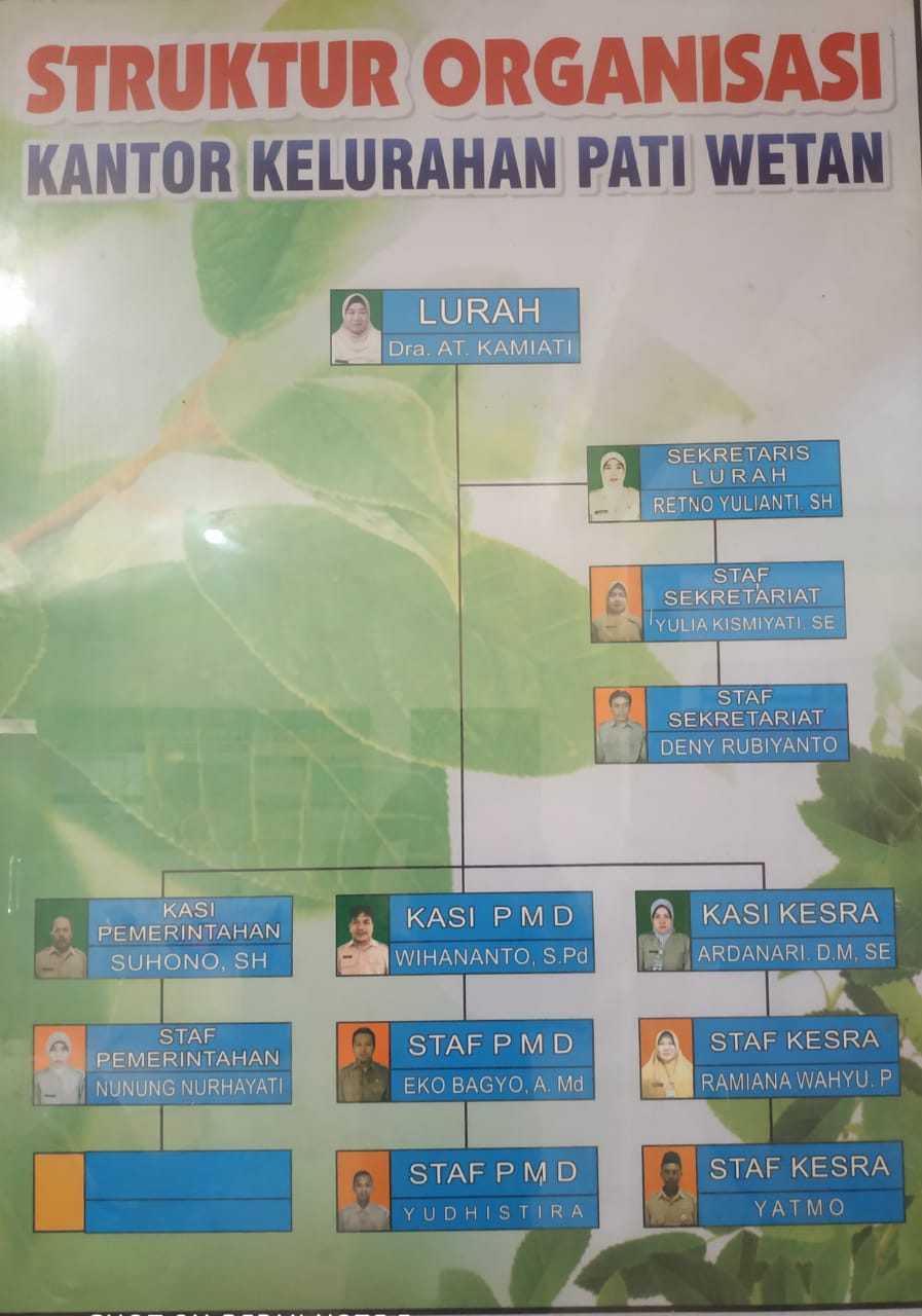 STRUKTUR ORGANISASI
